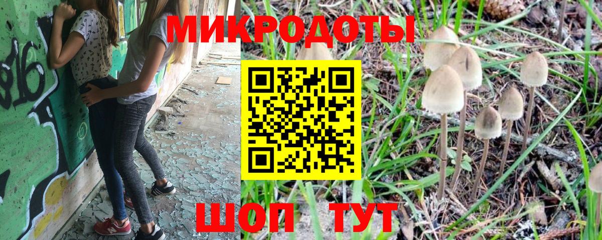 Скопин  где купить наркоту  Галлюциногенные грибы Psilocybe  Вход с VPN  Псилоцибиновые грибы мухоморы 
