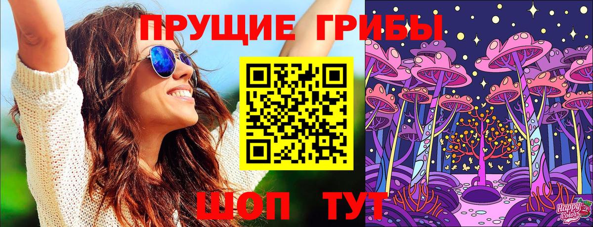 Галлюциногенные грибы Psilocybe Скопин